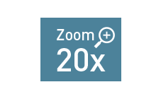 icon-zoom-20x