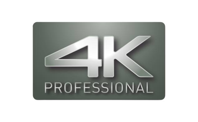 4K PROFESSIONAL Icon