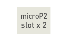 icon-microp2-slot-x2