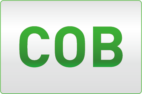 LEDタイプ（COB）